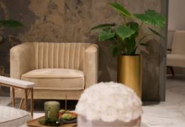 Blog Images